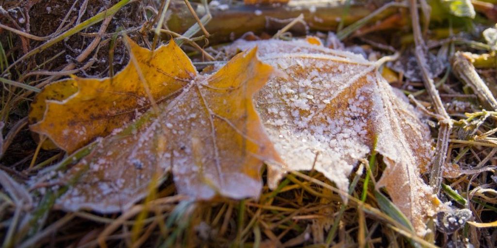 Arrivo delle gelate notturne in Carelia il 17 ottobre: cosa aspettarsi e come prepararsi
