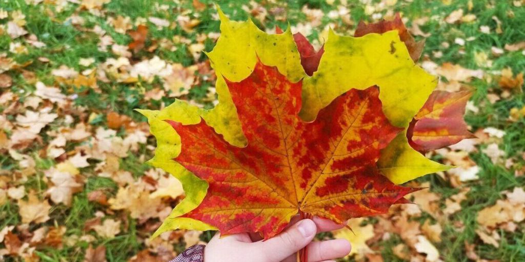 Из-за тепла и дождей Ивановскую область окутает опасный туман