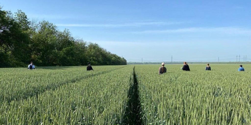 Quasi 27000 giovani trovano lavoro estivo nel territorio di Krasnodar