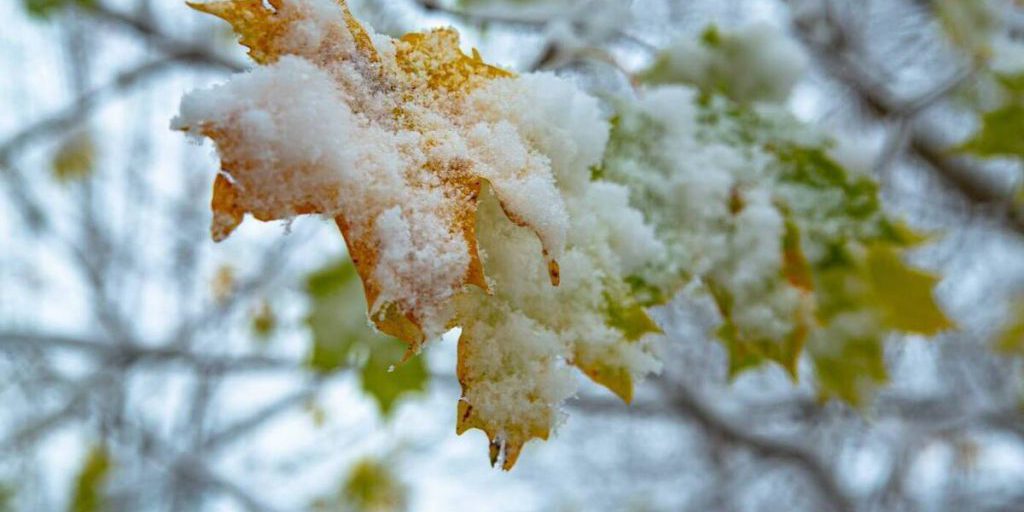 Nevicata imminente in Carelia: previsioni meteorologiche e consigli per la sicurezza stradale