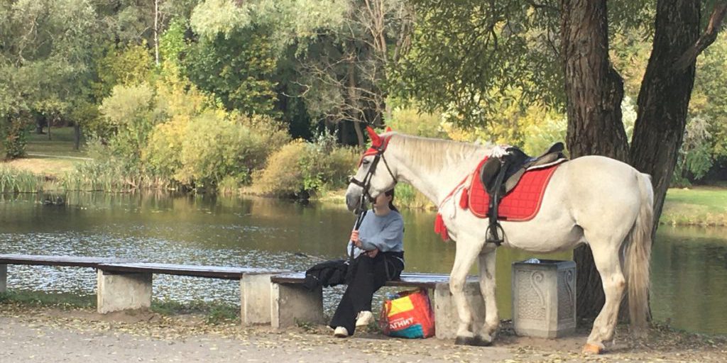 Теперь в Финском парке: псковские "лошадницы" снова в деле