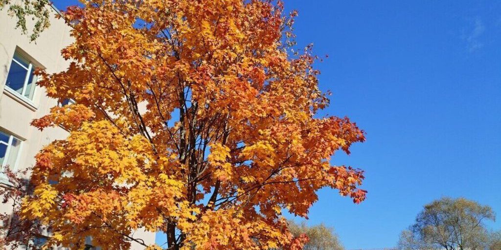 Магнитная буря на Земле закончилась 19 октября