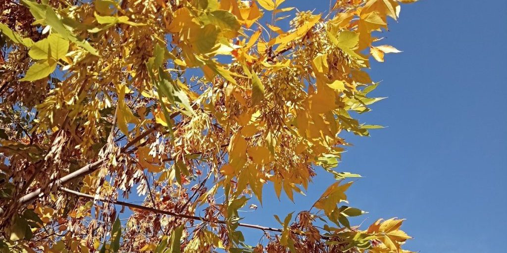 Сила магнитной бури 7 октября составит 4 балла: благоприятный день для домашних дел