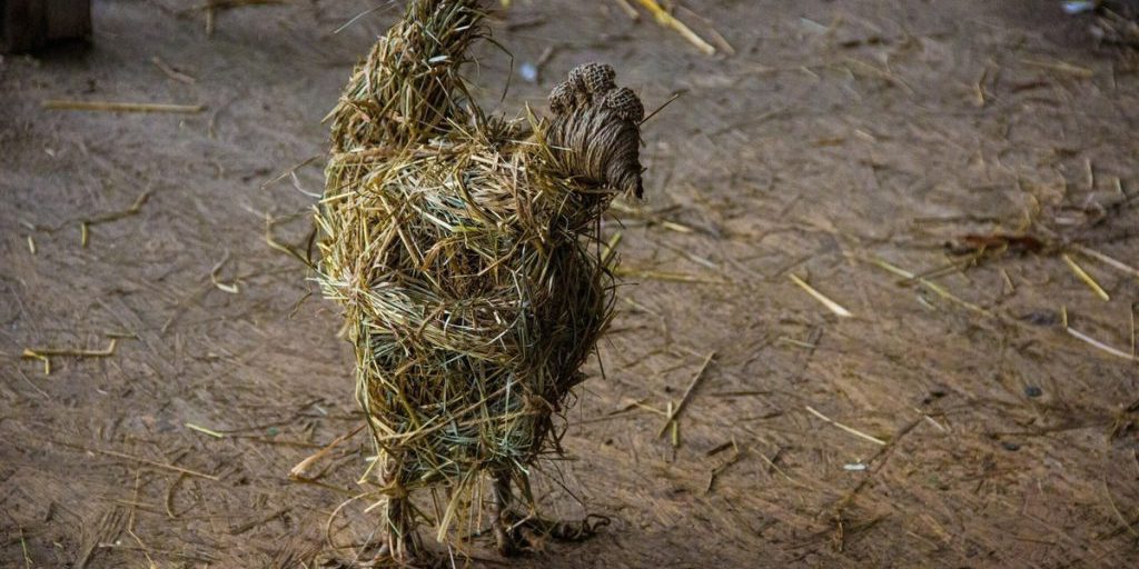 В селе Высокое под Тулой ликвидирован пожар в курятнике