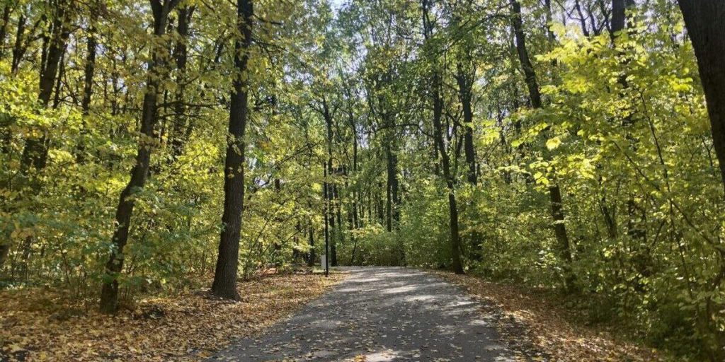 Белгородцев предупредили о небольших дождях в понедельник