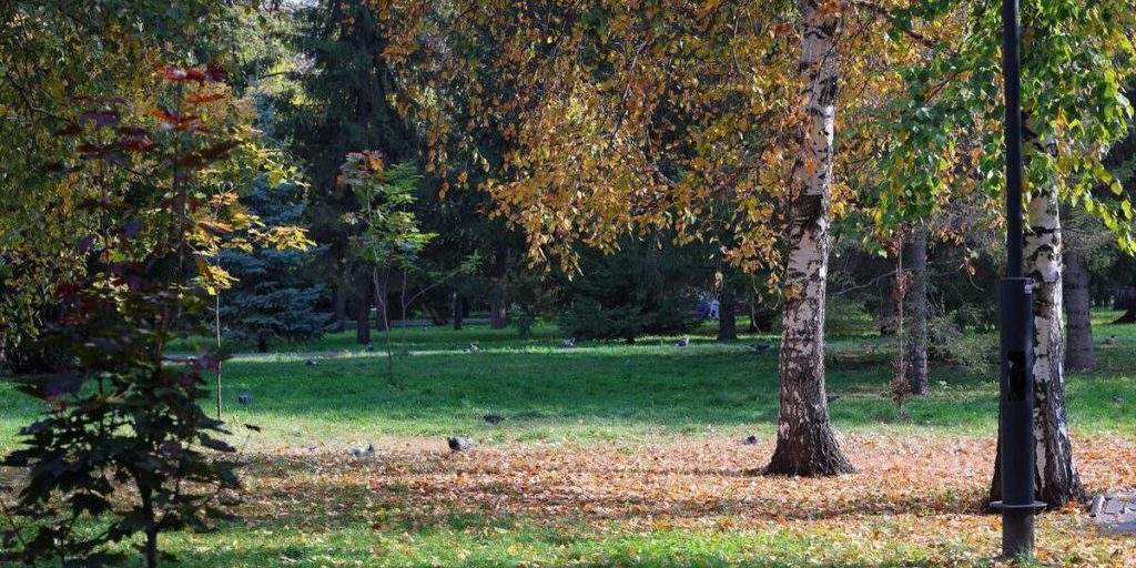Previsioni Meteo per la Regione di Čeljabinsk: Cielo Parzialmente Nuvoloso e Nessuna Pioggia il 6 Ottobre