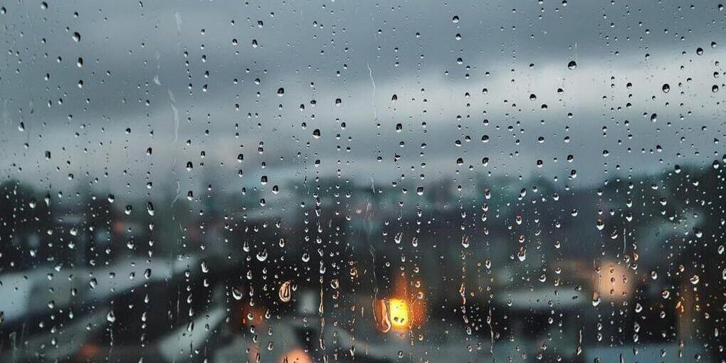 В Липецкой области в воскресенье ожидаются дожди и до +13 градусов