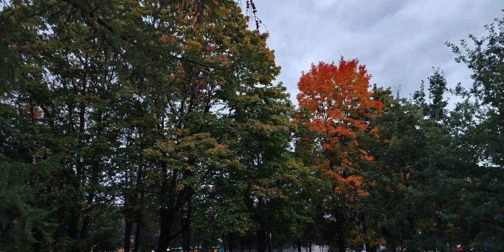 Мех, кожа и многослойность – стиль осеннего сезона 25-26