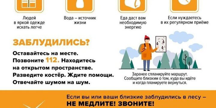 Sicurezza nel Bosco: Regole e Precauzioni per un Ritorno Sicuro a Casa