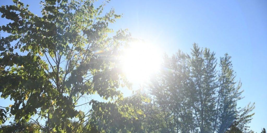 Ondata di caldo a Volgograd: temperature in aumento e possibili conseguenze per la salute e l'ambiente