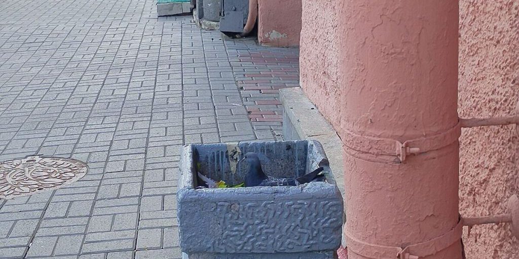 Мужчина разбил голову об урну в мордобое у метро «Чернышевская»