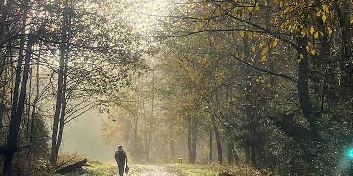 Синоптик рассказал о погоде в Москве и области в выходные и на следующей неделе