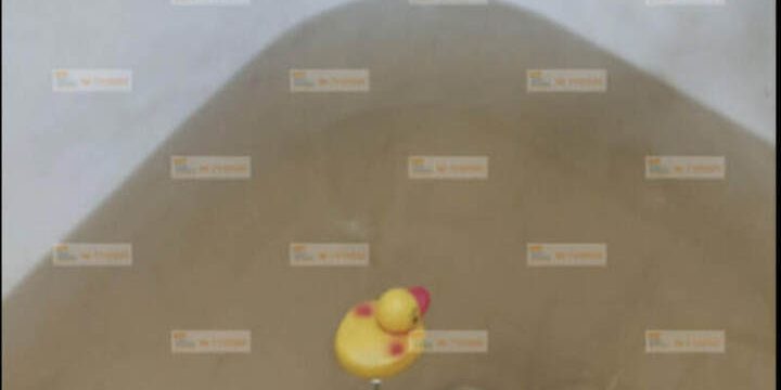 Emergenza acqua calda a San Pietroburgo: problemi di qualità e possibili rischi per la salute pubblica