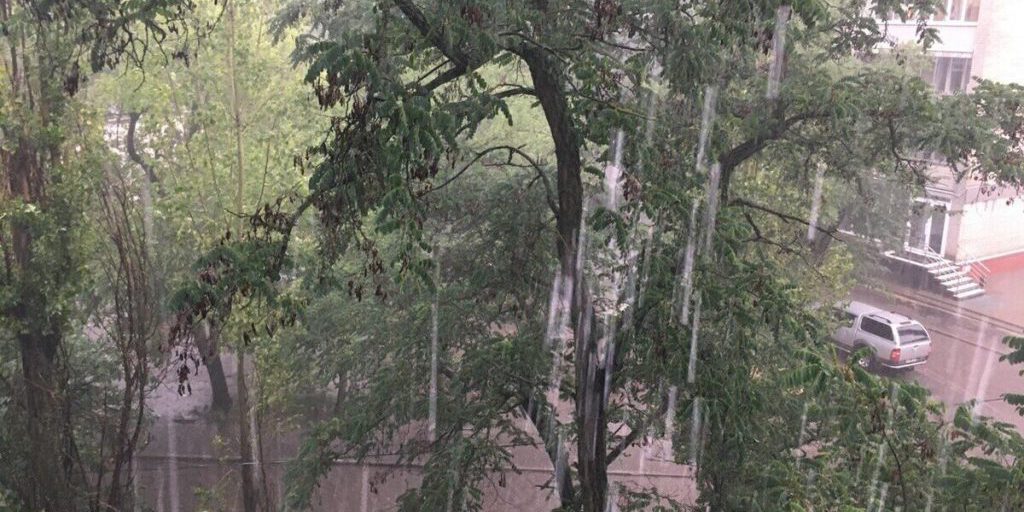 В Воронежской области будет безветренно и мокро