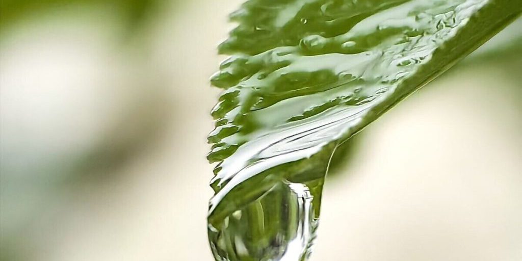 Экологический кейс-турнир для молодёжи пройдёт в Петербурге