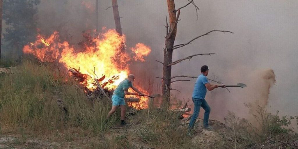 МЧС предупредило воронежцев о риске пожаров в связи с сильным ветром