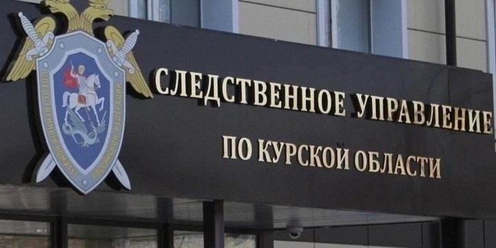 Полиция и СК проводят проверку по факту избиения девочки в Курске