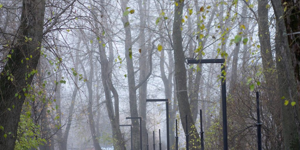 Среда в Архангельской области будет холодной и даже снежной