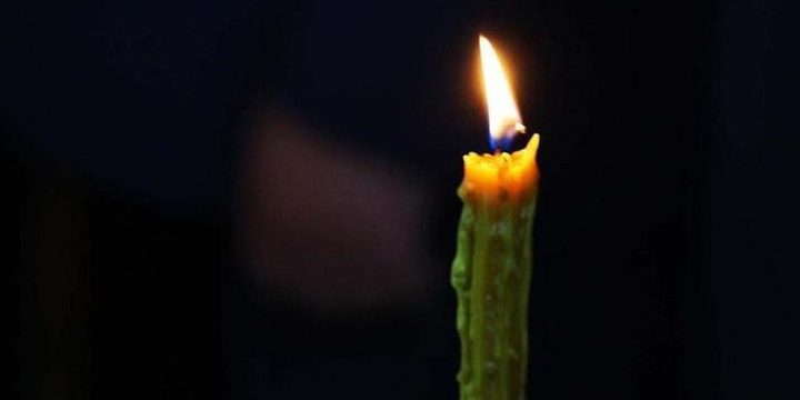 Addio a Jutta Bauer la scrittrice e illustratrice tedesca che ha catturato il cuore dei bambini in tutto il mondo