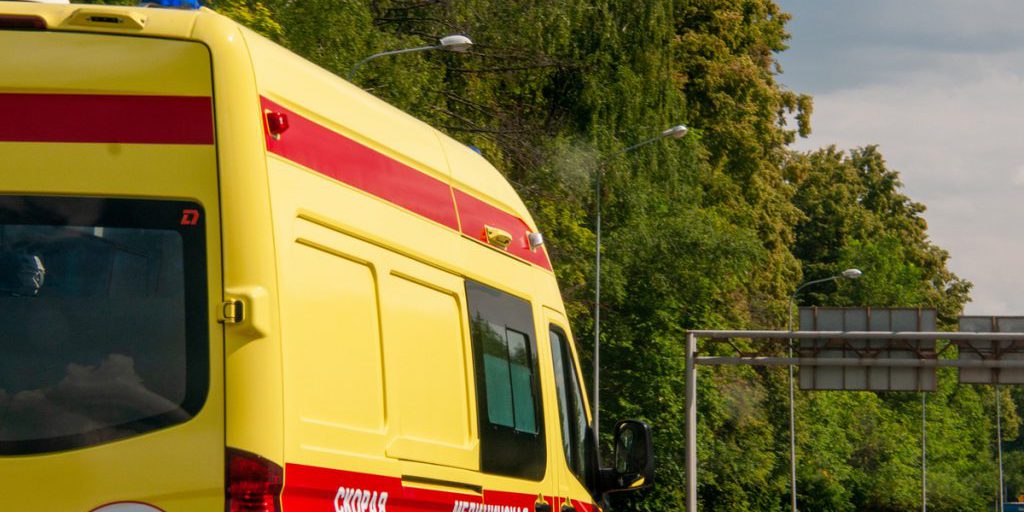 Конь терзал пенсионерку, пока пьяный хозяин спал