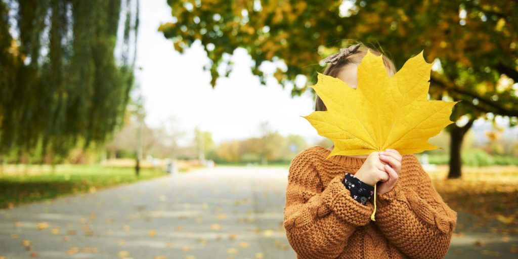 Clima Autunnale a Krasnoyarsk: Una Nuova Settimana con Condizioni Meteorologiche Favorevoli