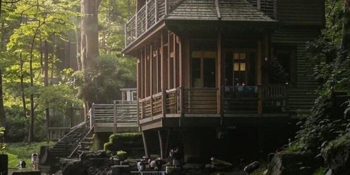 Violazioni della sicurezza antincendio nella base di vacanza Sосновый бор a Voronež: indagine e possibili conseguenze