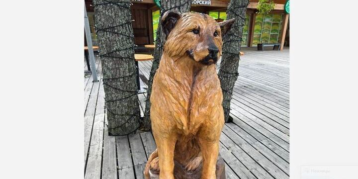 Una nuova scultura di un cane di nome Kefir arricchisce il Parco Primorsky di Sosnovy Bor