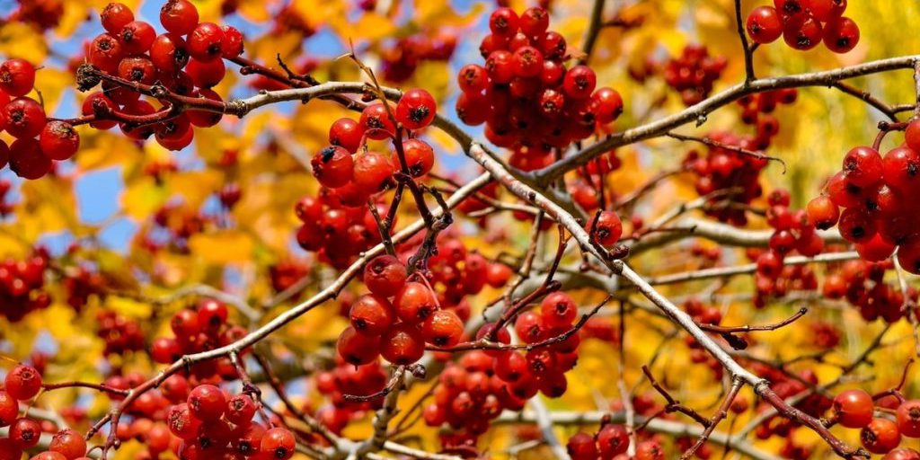 Previsioni Meteo a Tomsk per il 24 settembre: Piogge Brevi e Temperature Moderate Attese nella Città Siberiana