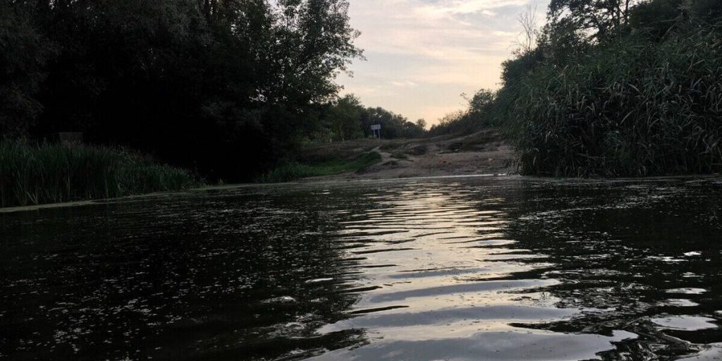 В реке Дон воронежский рыбак поймал 30-килограммового сома