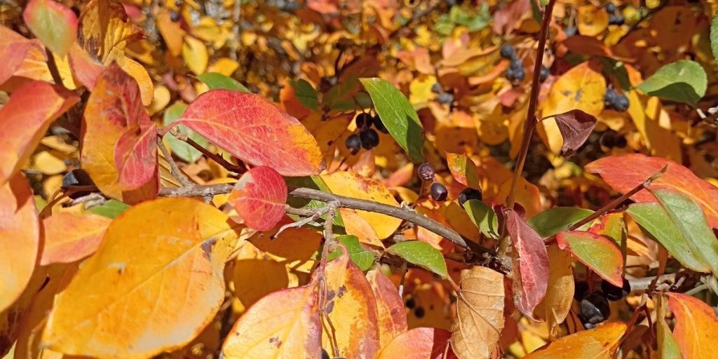 Tempesta Magnetica del 25 Settembre: Effetti e Conseguenze delle Perturbazioni Geomagnetiche