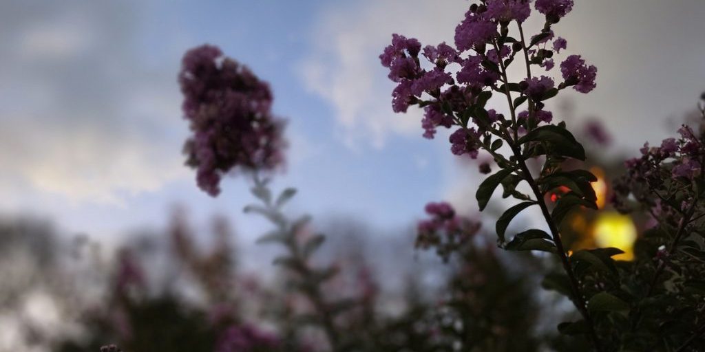 В понедельник на Кубани улучшится погода