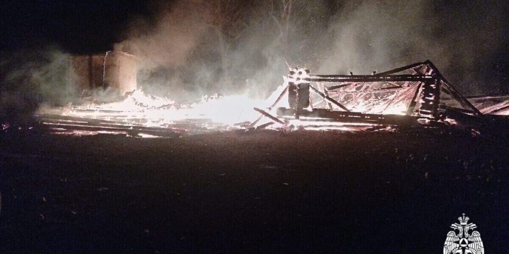 В Ярославской области заживо сгорели 150 индюшек