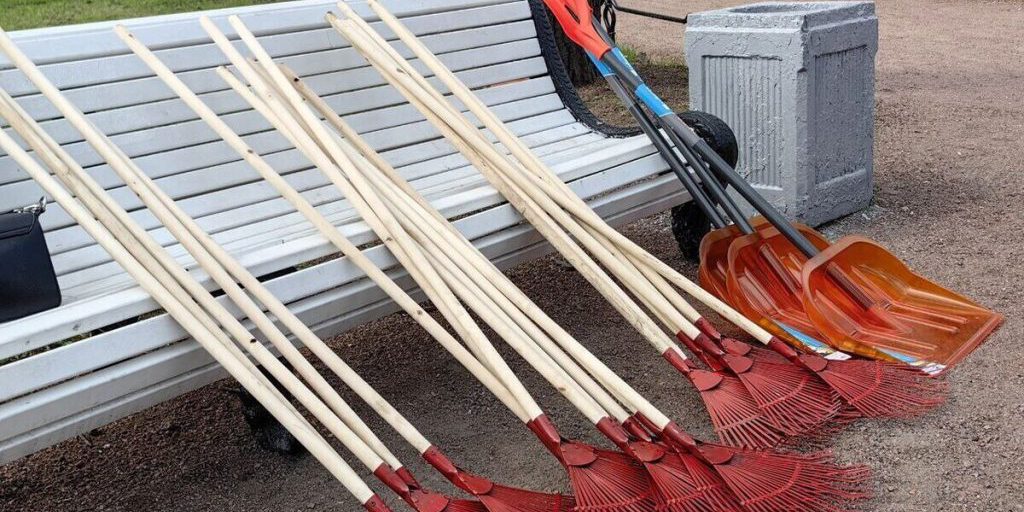 Iniziativa Ecologica a Kalingrado: Il Parco di Primorje Si Impegna per la Tutela dell'Ambiente