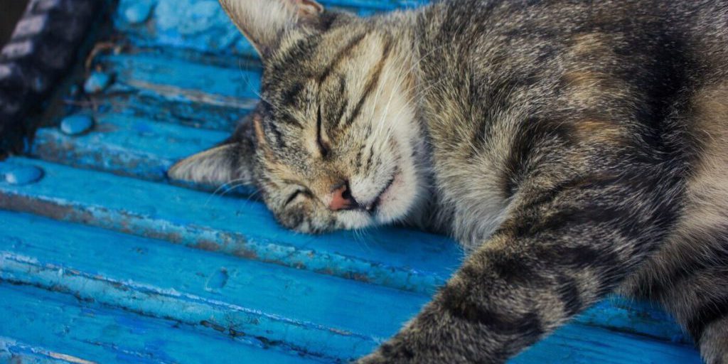 "Come combattere l'ustalità: consigli della psicologa Tatiana Gileva per un riposo efficace"