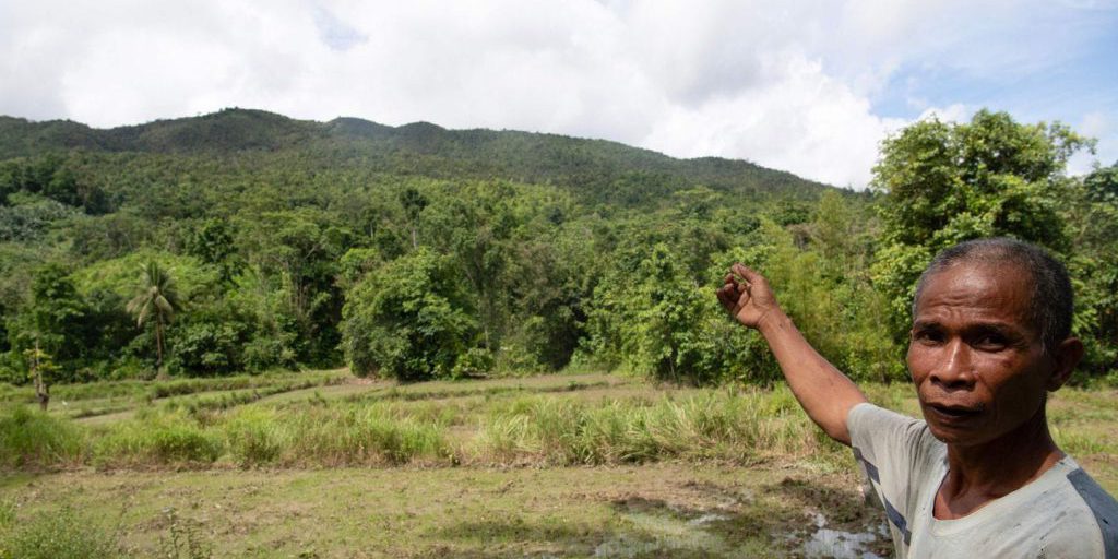 Terreni agricoli, il capitale naturale nuova frontiera degli investimenti