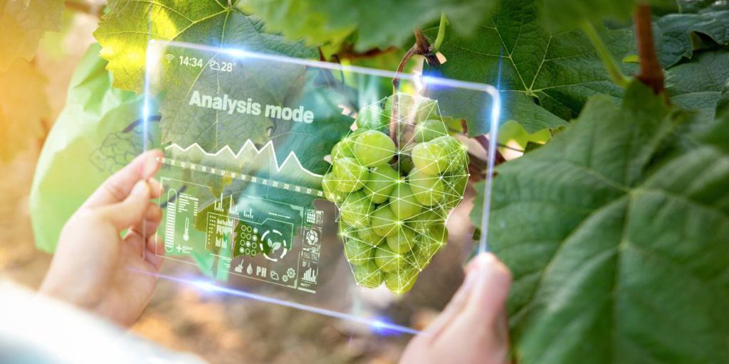 "Intelligenza Artificiale per la Resistenza alle Malattie: Nuove Varieà di Pomodori e Patate più Robuste"