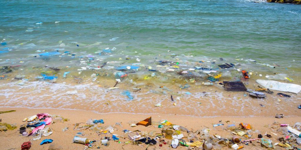 Ricerca su bioplastiche: verso materiali plastici da fonti rinnovabili