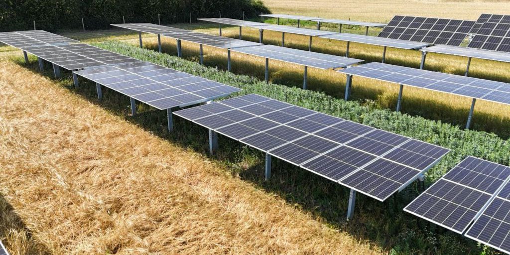 European Energy costruisce in Sicilia il più grande impianto agrivoltaico italiano da 225 MW