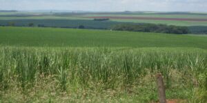 Nuova Iniziativa Mondiale per Quadruplicare l'Uso di Combustibili Sostenibili entro il 2035