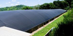 Biogas contro l'inquinamento avicolo: El Salvador punta sulle energie rinnovabili per un futuro più sostenibile