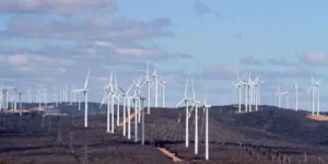 Il Brasile punta sulle terre rare per diventare leader tecnologico e industriale