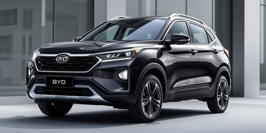 Byd raggiunge quota di mercato del 3,1% a dicembre, entra nella Top 10 italiana