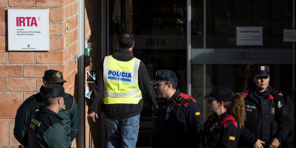 Analisi genetiche dimostrano che la peste suina africana a Barcellona non proviene dal laboratorio della Generalitat