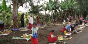 Il Cancro al Seno nelle Isole del Pacifico: Una Minaccia Silenziosa che Colpisce le Donne