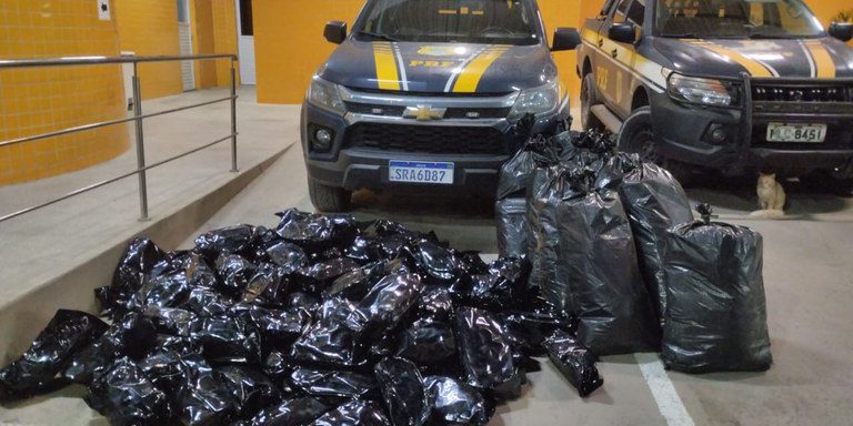 Operação mira grupo envolvido em furto e abate de gado na Bahia