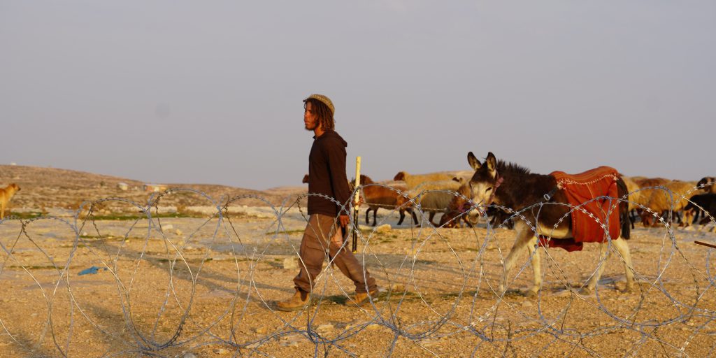 Violenza dei coloni israeliani in Cisgiordania: fatti e statistiche