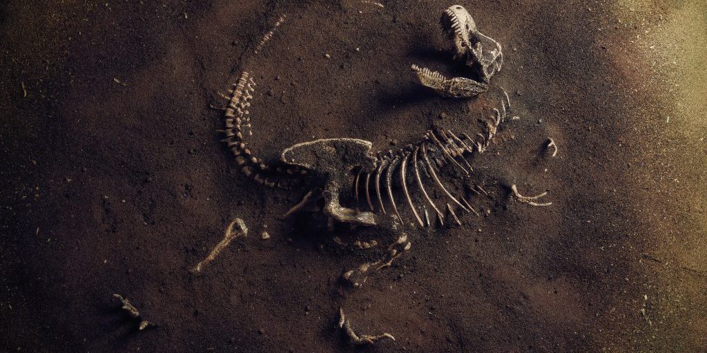 La paleontóloga Riley Black muestra en un libro dramático y conmovedor cómo el fin de los dinosaurios fue nuestro principio