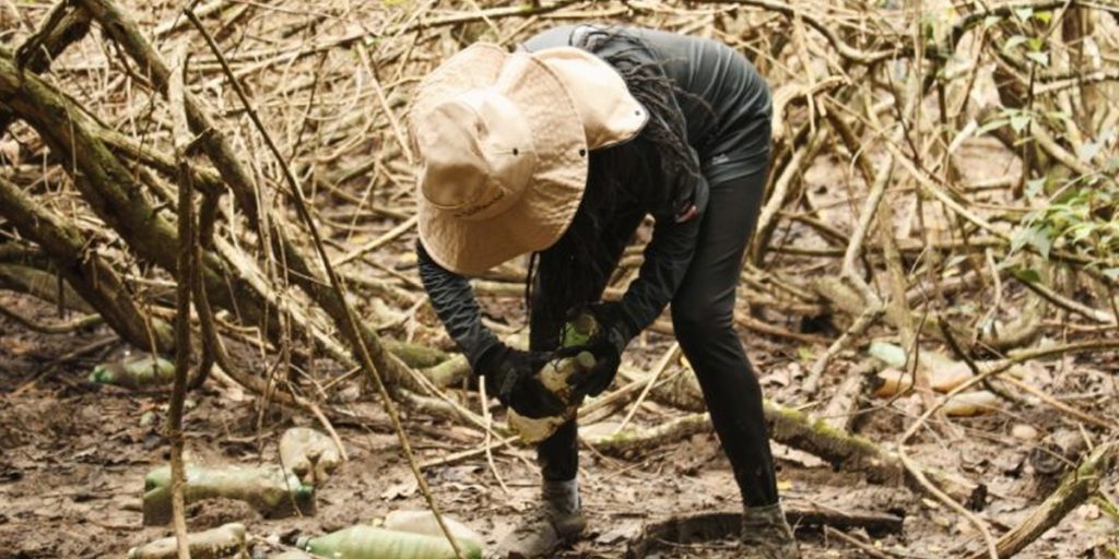 ABAF é confirmada para fazer parte da delegação brasileira na COP 30