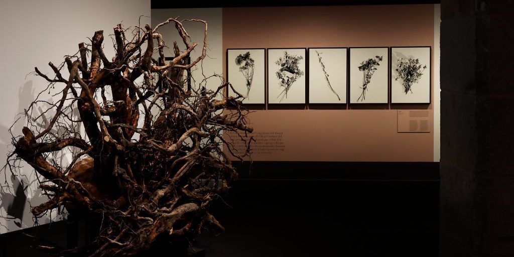 Il CCCB rivede Mercè Rodoreda, oltre i cliché di sensibilità