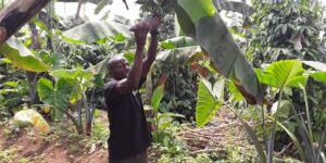 Sicurezza Alimentare Globale: Progressi e Sfide nella Lotta contro la Fame